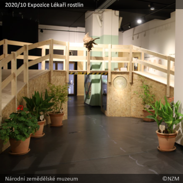 2020/10 Expozice Lékaři rostlin - NZM